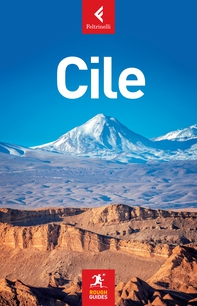 Cile - Librerie.coop Cile - Librerie.coop