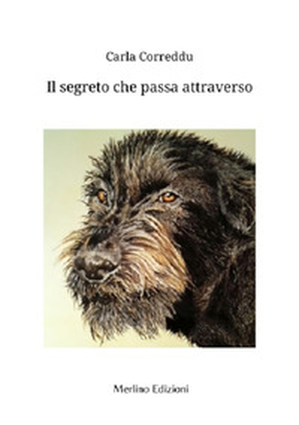 Il segreto che passa attraverso - Librerie.coop Il segreto che passa attraverso - Librerie.coop