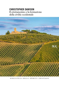 Il cristianesimo e la formazione della civiltà occidentale - Librerie.coop