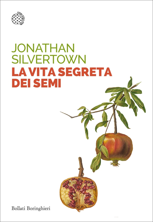 La vita segreta dei semi - Librerie.coop La vita segreta dei semi - Librerie.coop