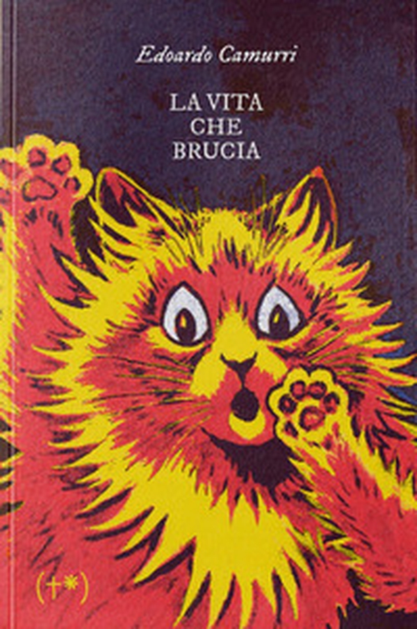 La vita che brucia - Librerie.coop La vita che brucia - Librerie.coop