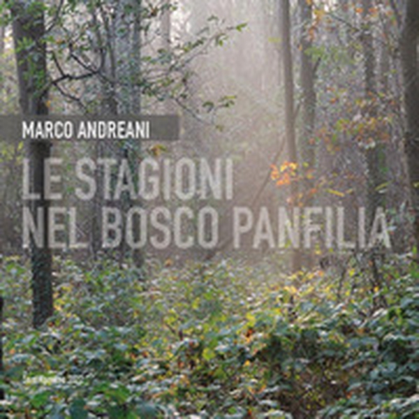Le stagioni nel bosco Panfilia - Librerie.coop Le stagioni nel bosco Panfilia - Librerie.coop