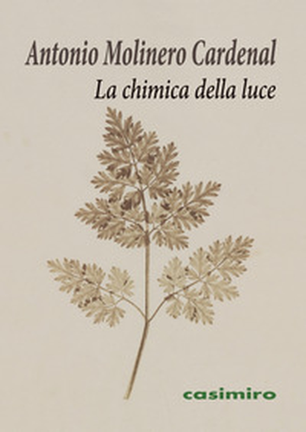 La chimica della luce - Librerie.coop La chimica della luce - Librerie.coop