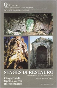 Stages di restauro. Quaderno - Vol. 3 - Librerie.coop