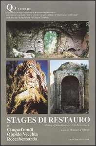 Stages di restauro. Cinquefrondi, Oppido Vecchia, Roccabernarda. Ricerca e formazione a servizio del territorio. Quaderno - Vol. 3 - Librerie.coop Stages di restauro. Cinquefrondi, Oppido Vecchia, Roccabernarda. Ricerca e formazione a servizio del territorio. Quaderno - Vol. 3 - Librerie.coop