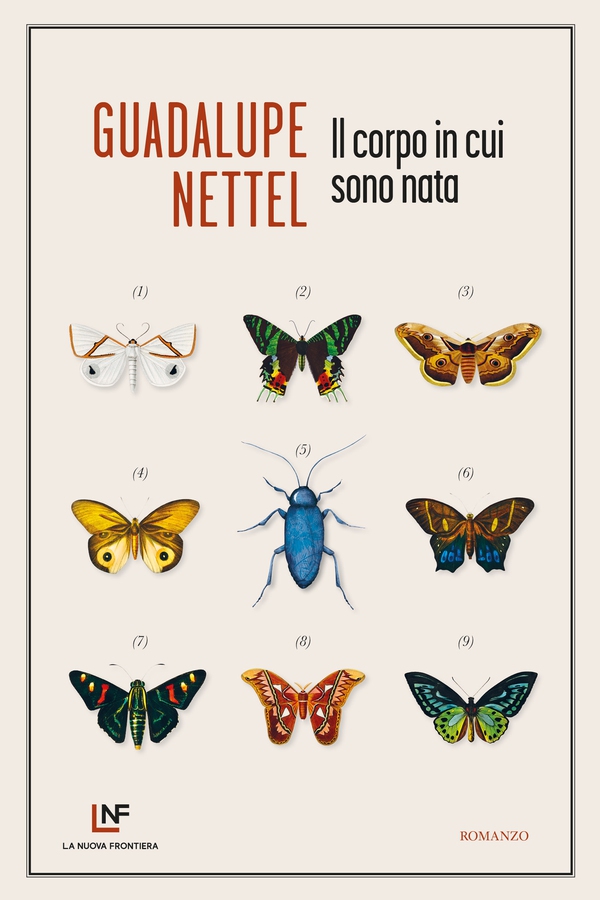 Il corpo in cui sono nata - Librerie.coop Il corpo in cui sono nata - Librerie.coop