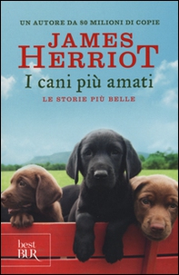 I cani più amati. Le storie più belle - Librerie.coop
