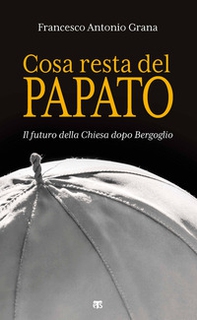 Cosa resta del papato. Il futuro della Chiesa dopo Bergoglio - Librerie.coop