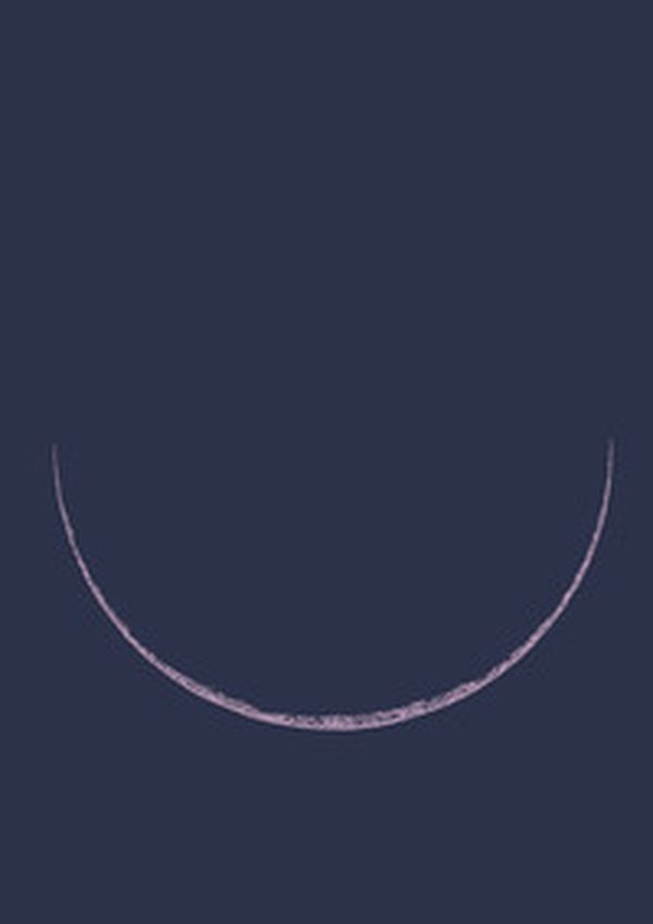 Notti. Cinque secoli di stelle, sogni, pleniluni - Librerie.coop