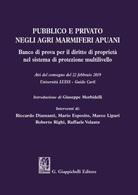 Pubblico e privato negli agri marmiferi apuani. Banco di prova per il diritto di proprietà nel sistema di protezione multilivello. Atti del Convegno (22 febbraio 2019) - Librerie.coop Pubblico e privato negli agri marmiferi apuani. Banco di prova per il diritto di proprietà nel sistema di protezione multilivello. Atti del Convegno (22 febbraio 2019) - Librerie.coop