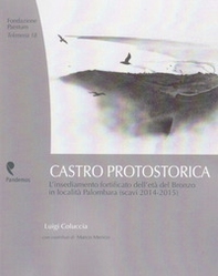 Castro protostorica. L'insediamento fortificato dell'età del Bronzo in località Palombara (scavi 2014-2015) - Librerie.coop