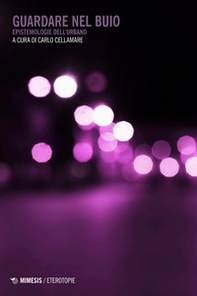 Guardare nel buio. Epistemologie dell'urbano - Librerie.coop