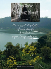 Sopra il senso delle cose - Librerie.coop