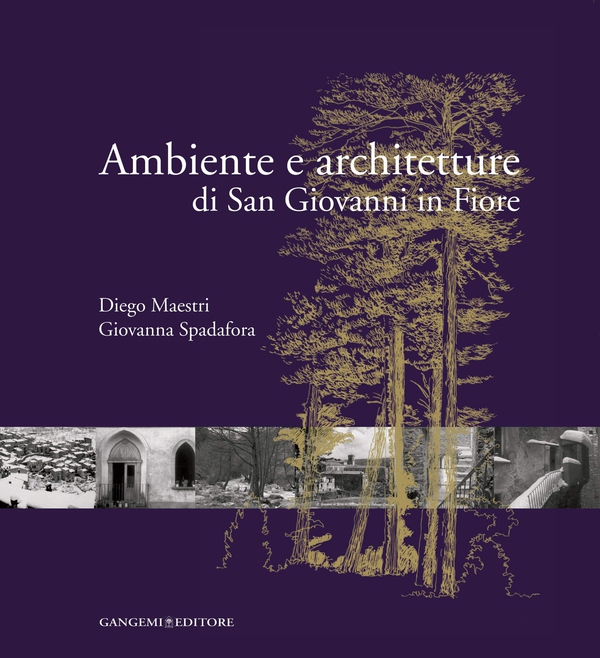Ambiente e architetture di San Giovanni in Fiore - Librerie.coop Ambiente e architetture di San Giovanni in Fiore - Librerie.coop