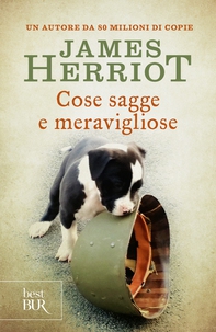 Cose sagge e meravigliose - Librerie.coop