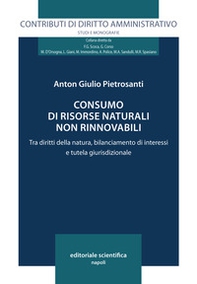 Consumo di risorse naturali non rinnovabili. Tra diritti della natura, bilanciamento di interessi e tutela giurisdizionale - Librerie.coop Consumo di risorse naturali non rinnovabili. Tra diritti della natura, bilanciamento di interessi e tutela giurisdizionale - Librerie.coop