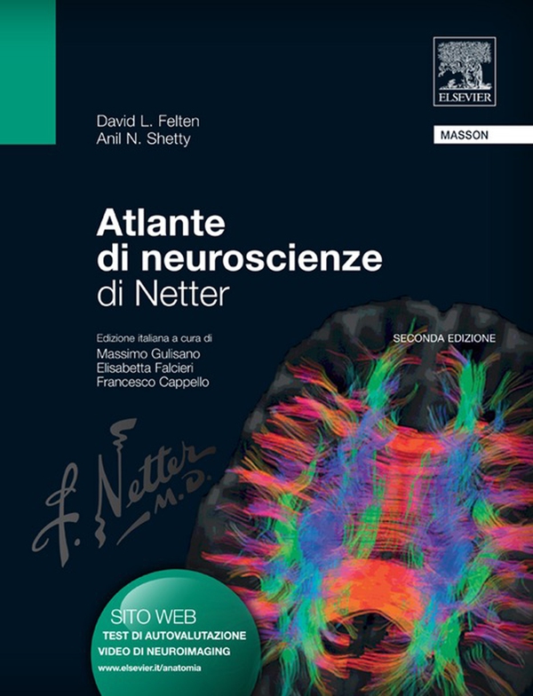 Atlante di neuroscienze di Netter - Librerie.coop Atlante di neuroscienze di Netter - Librerie.coop