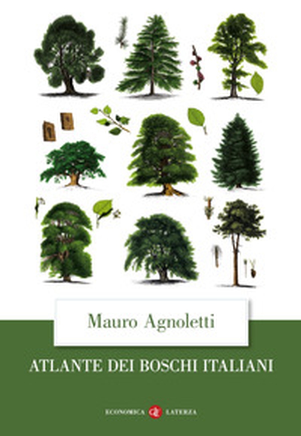 Atlante dei boschi italiani - Librerie.coop Atlante dei boschi italiani - Librerie.coop