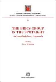 The Brics Group in the sportlight. An interdisciplinary approach - Librerie.coop