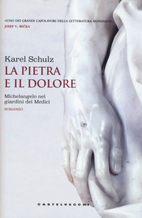 La pietra e il dolore. Michelangelo nei giardini dei Medici - Librerie.coop La pietra e il dolore. Michelangelo nei giardini dei Medici - Librerie.coop