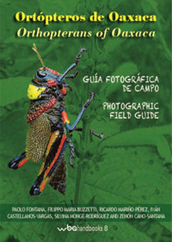 Ortopteros de Oaxaca. Fotografica de campo-Orthopterans of Oaxaca. Photographic field guide - Librerie.coop Ortopteros de Oaxaca. Fotografica de campo-Orthopterans of Oaxaca. Photographic field guide - Librerie.coop