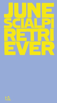 Retriever. (Possibile inquadramento teorico di un) - Librerie.coop Retriever. (Possibile inquadramento teorico di un) - Librerie.coop