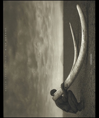 Nella terra ferita - Librerie.coop