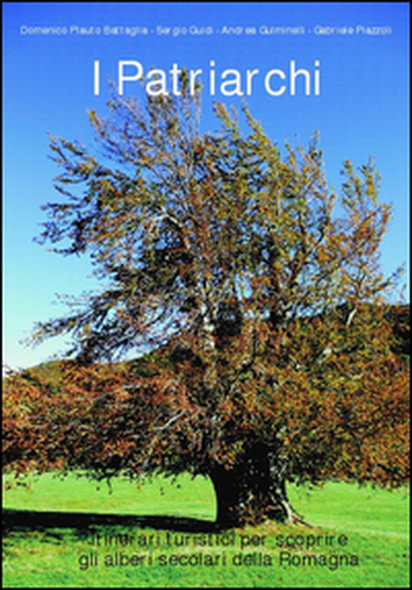 I patriarchi. Itinerari turistici per scoprire gli alberi secolari della Romagna - Librerie.coop I patriarchi. Itinerari turistici per scoprire gli alberi secolari della Romagna - Librerie.coop