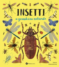 Insetti. A grandezza naturale - Librerie.coop