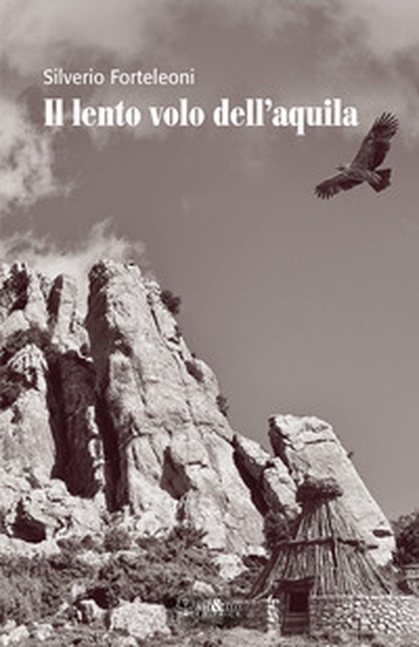 Il lento volo dell'aquila - Librerie.coop Il lento volo dell'aquila - Librerie.coop