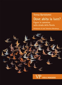 Dove abita la luce? Figure in cammino sulla strada della Parola - Librerie.coop