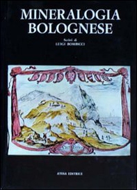 Storia della città di Como (rist. anast. Firenze, 1856) - Librerie.coop Storia della città di Como (rist. anast. Firenze, 1856) - Librerie.coop