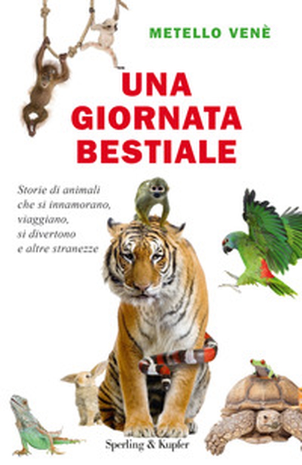 Una giornata bestiale. Storie di animali che si innamorano, viaggiano, si divertono e altre stranezze - Librerie.coop Una giornata bestiale. Storie di animali che si innamorano, viaggiano, si divertono e altre stranezze - Librerie.coop