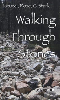 Walking through stones - Librerie.coop