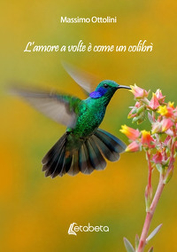 L'amore a volte è come un colibrì - Librerie.coop
