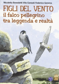Figli del vento. Il falco pellegrino tra leggenda e realtà - Librerie.coop Figli del vento. Il falco pellegrino tra leggenda e realtà - Librerie.coop