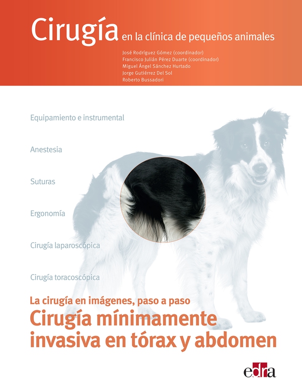 Cirugía mínimamente invasiva en tórax y abdomen - Librerie.coop Cirugía mínimamente invasiva en tórax y abdomen - Librerie.coop