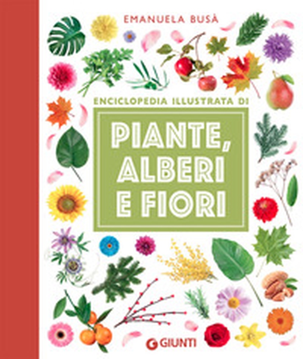 Enciclopedia illustrata di piante, alberi e fiori - Librerie.coop Enciclopedia illustrata di piante, alberi e fiori - Librerie.coop