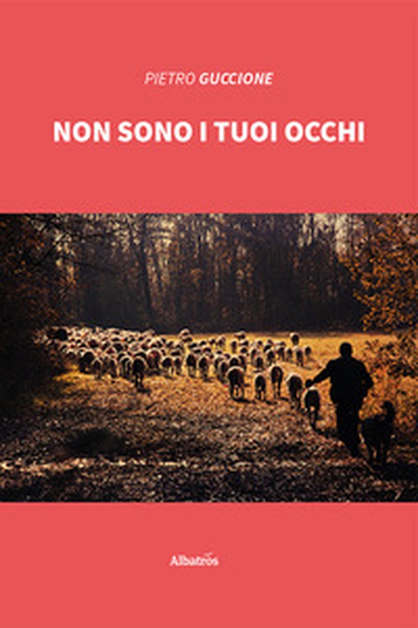 Non sono i tuoi occhi - Librerie.coop Non sono i tuoi occhi - Librerie.coop