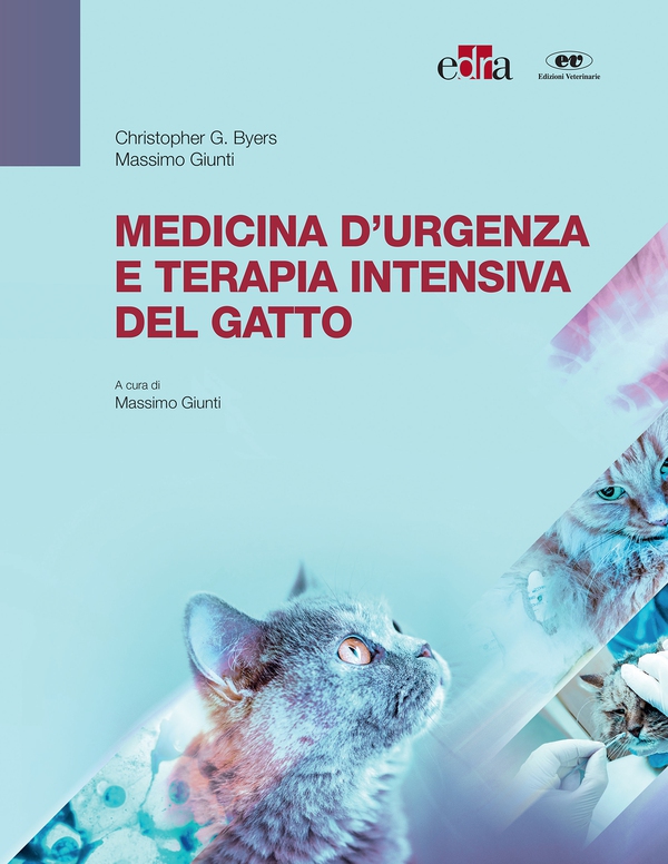 Medicina d’urgenza e terapia intensiva del gatto - Librerie.coop Medicina d’urgenza e terapia intensiva del gatto - Librerie.coop