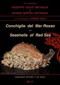 Conchiglie del Mar Rosso-Red Sea's seashelles - Librerie.coop