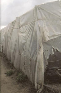 Home - Librerie.coop