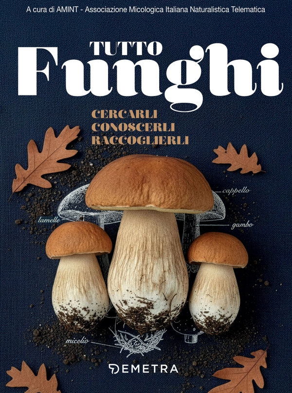 Tutto funghi. Cercarli, conoscerli, raccoglierli - Librerie.coop