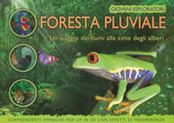 La foresta pluviale. Un viaggio dai fiume alle cime degli alberi - Librerie.coop La foresta pluviale. Un viaggio dai fiume alle cime degli alberi - Librerie.coop