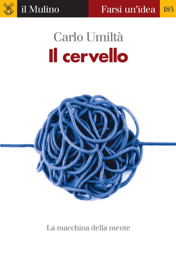 Il cervello - Librerie.coop Il cervello - Librerie.coop