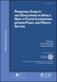 Promoting stability and development in Africa. How to foster cooperation between public and private sectors - Librerie.coop