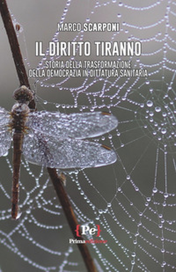 Il diritto tiranno. Storia della trasformazione della democrazia in dittatura sanitaria - Librerie.coop Il diritto tiranno. Storia della trasformazione della democrazia in dittatura sanitaria - Librerie.coop