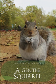 A gentle squirrel - Librerie.coop A gentle squirrel - Librerie.coop