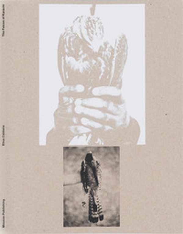 Elisa Caldana: The falcon of Karachi - Librerie.coop Elisa Caldana: The falcon of Karachi - Librerie.coop