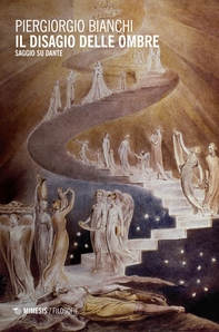 Il disagio delle ombre - Librerie.coop